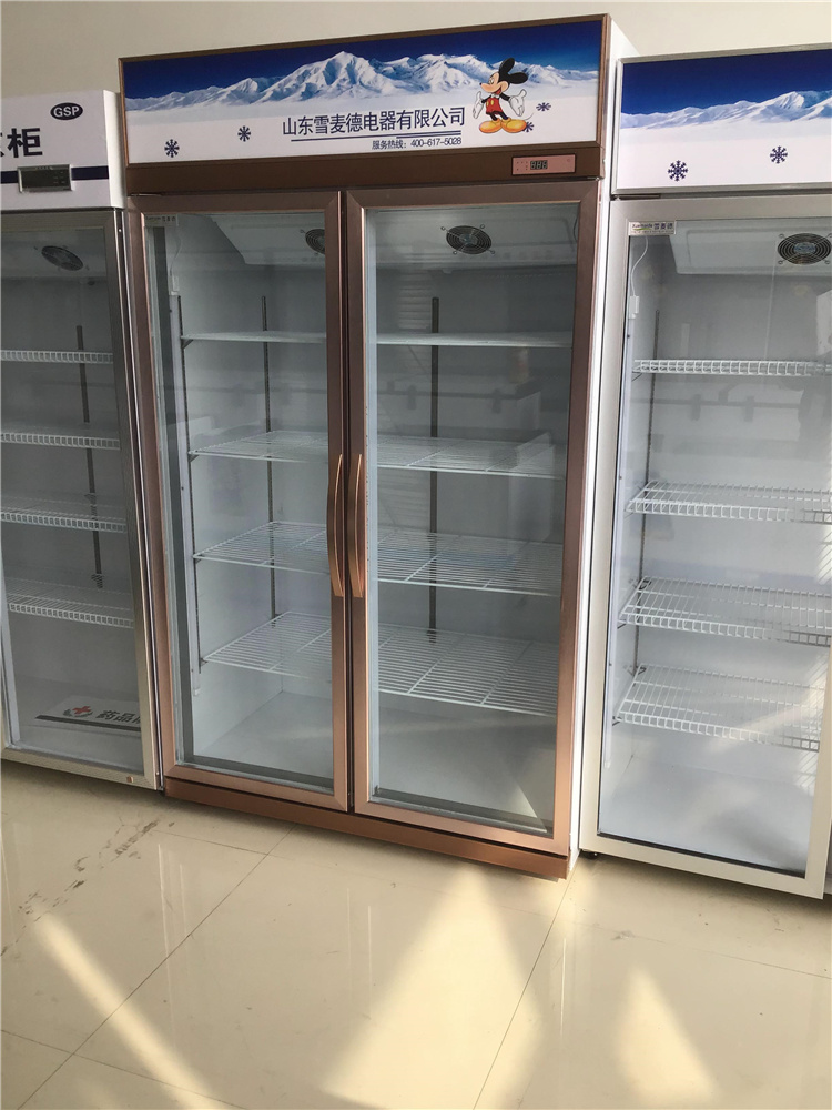 安徽立式冷藏保鲜展示柜立式冷藏保鲜展示柜