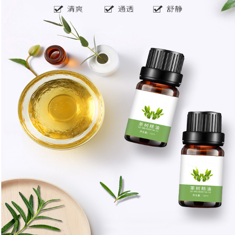 茶树精油 植物香薰按摩精油贴牌oem加工odm