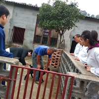 母羊养几年要淘汰  养羊，五种母羊要及时淘汰