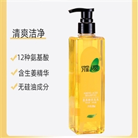 氨基酸生姜洗發水 無硅油控油洗發露 美發產品