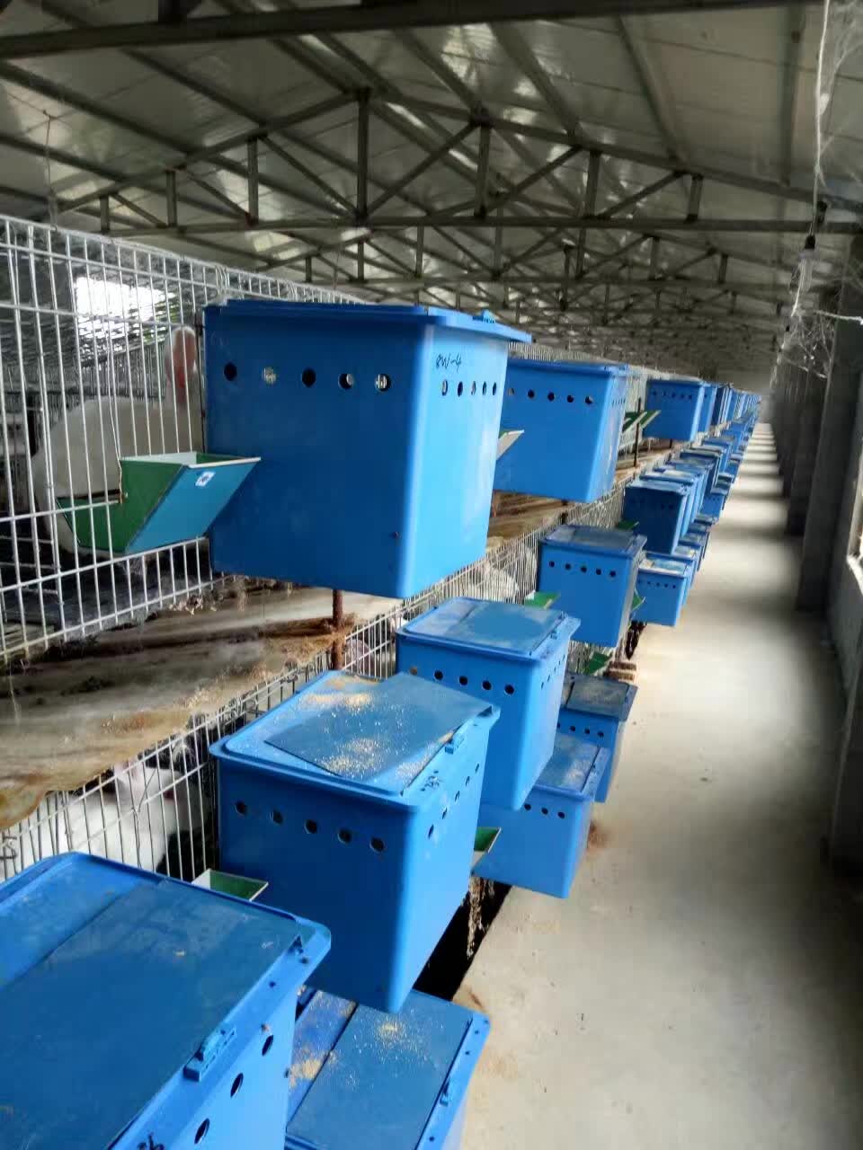 外置兔子产箱内置兔子产盒母兔窝