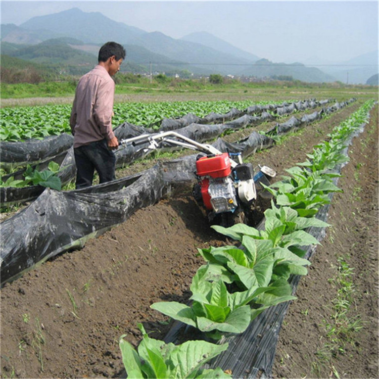 洋芋土豆開溝起壟機黃姜定植開溝培土機柴油電啟動開溝機