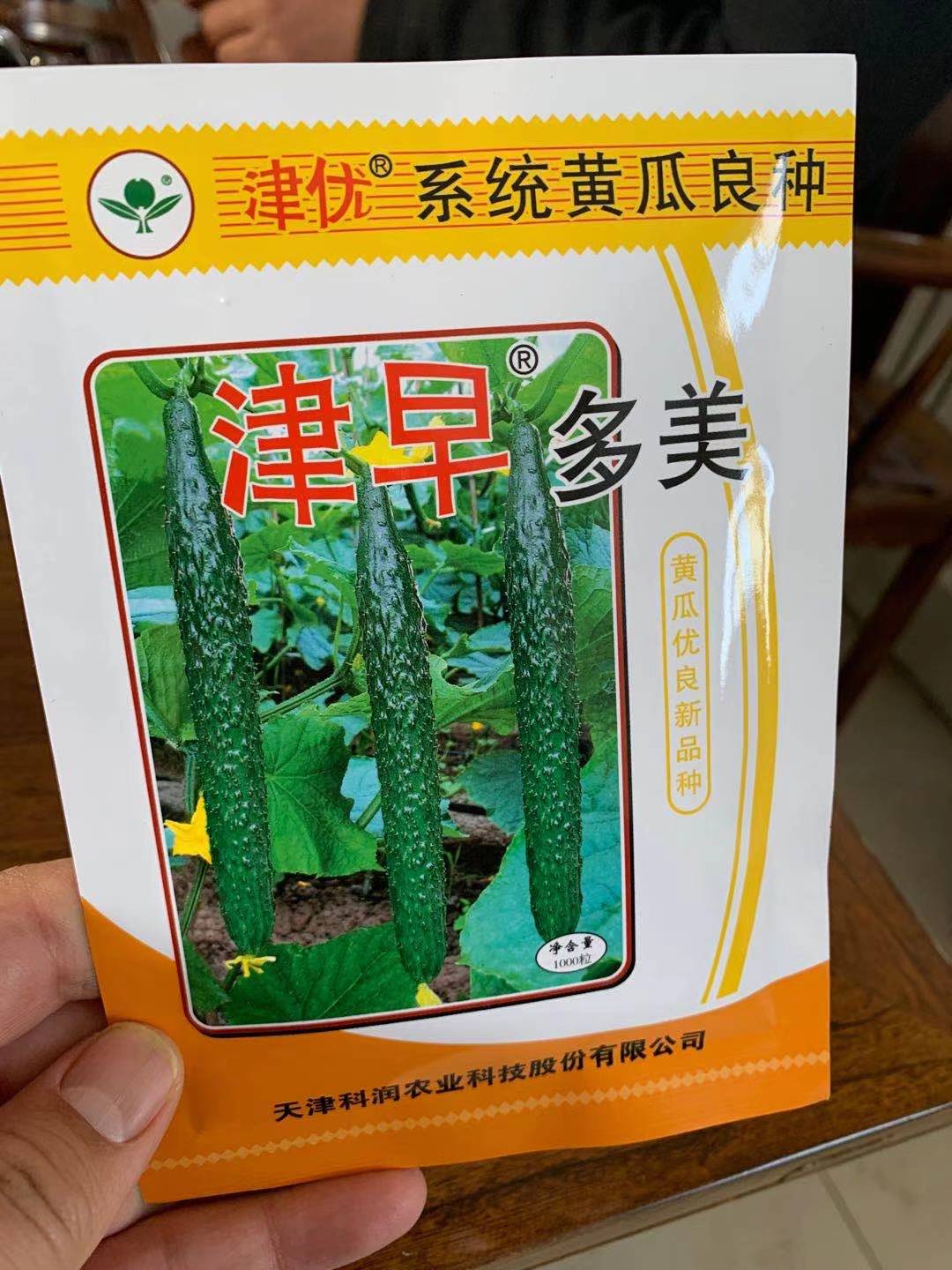 科润99黄瓜品种简介图片