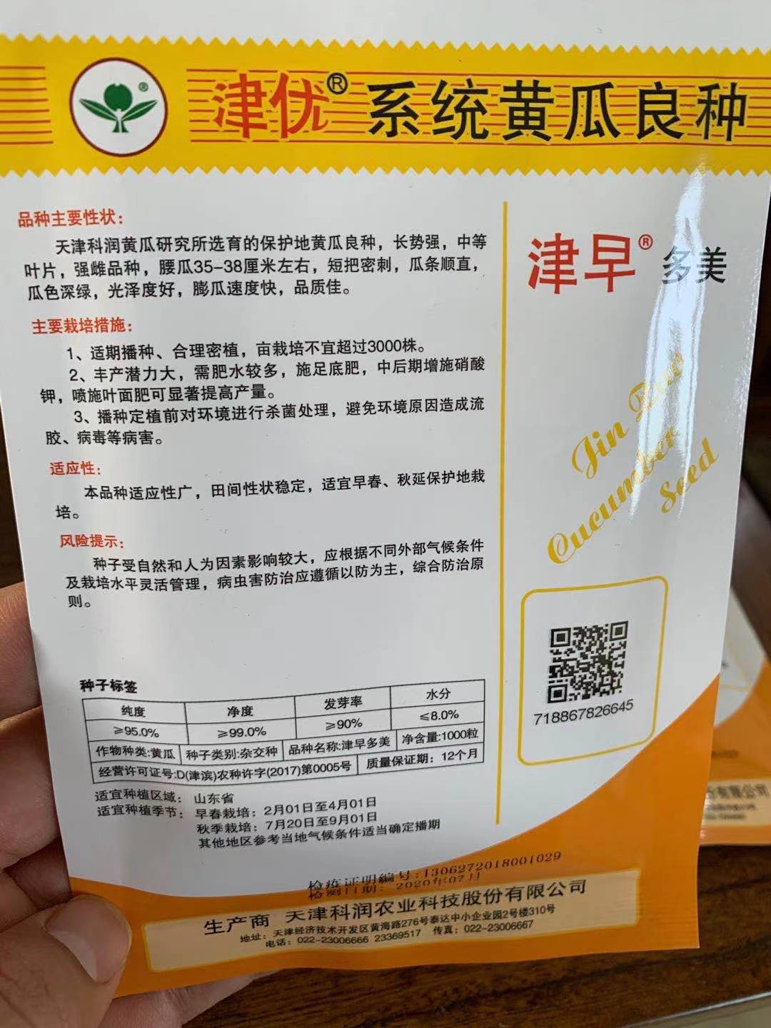 科润99黄瓜品种简介图片