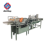 大型清洗机4200型 循环水过滤净菜清洗机 洗大白菜菠菜机子 九盈机械