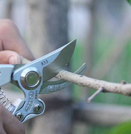 台湾佐川吉833修枝剪园艺剪果园采摘剪修枝剪园艺剪刀