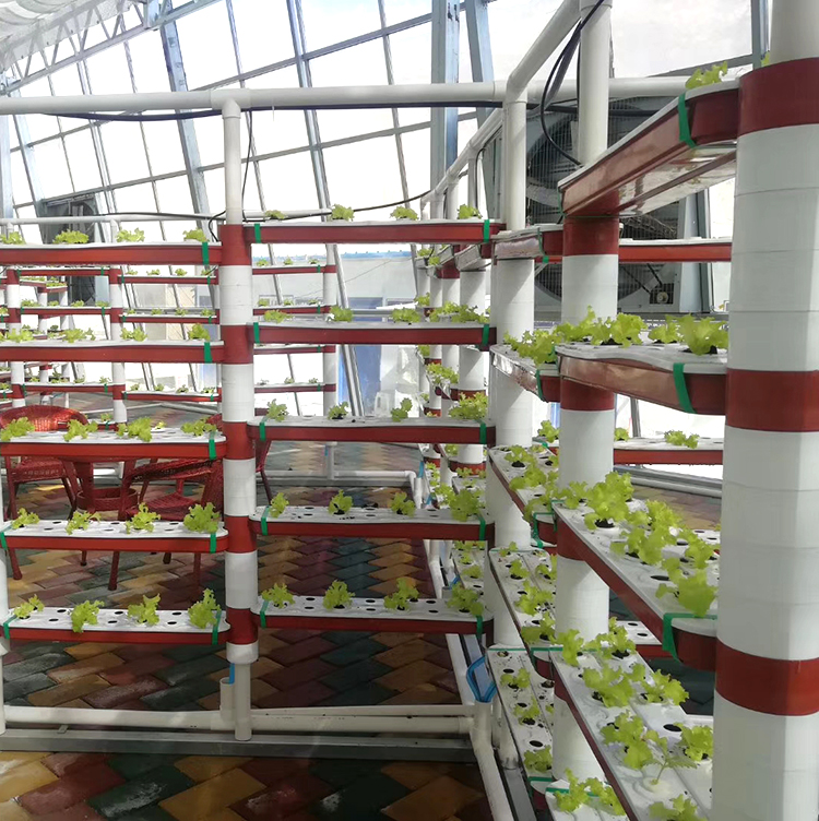 中加经贸协议落地赋能产业协同 PFAI迎来智慧农业与生物科技双轮驱动新机遇