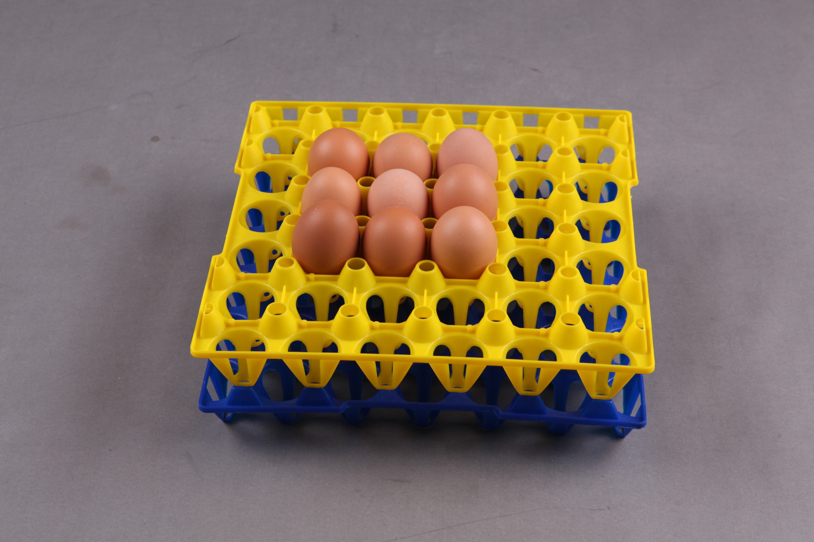 得利畜牧供应30枚蛋托商品蛋托塑料种蛋盘蛋盘加厚蛋托