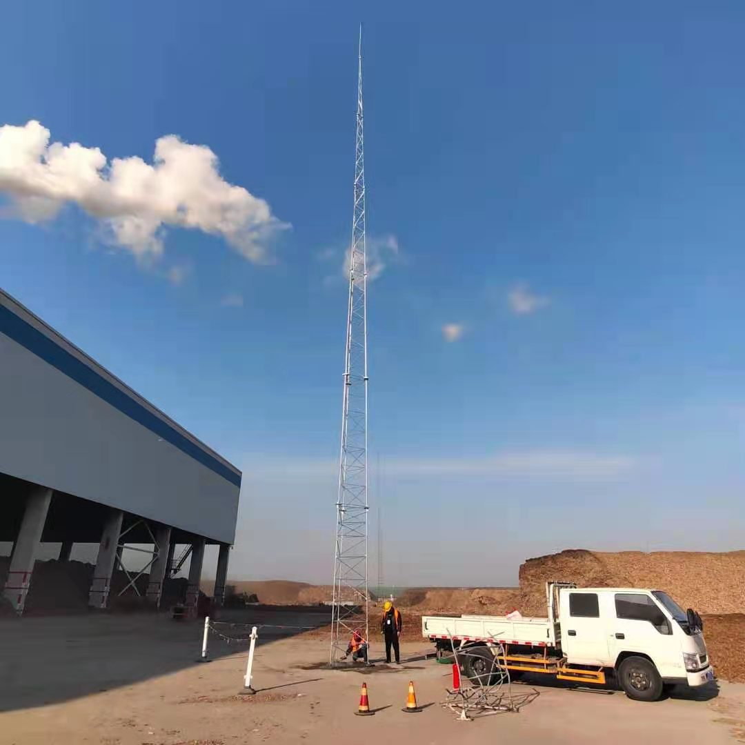 钢结构接闪杆避雷塔-搜了网