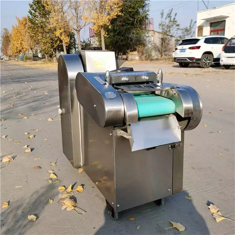 小型家用蔬菜切丝机 胡萝卜切片机 多功能切丝切丁切段机 普航机械