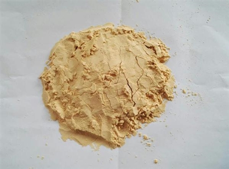 northern印迹杂交northern印迹杂交实验流程