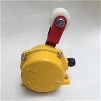 HQLL-A水泥厂原料输送机料位开关