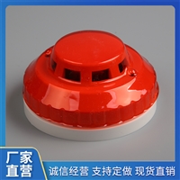 联网烟感探测器  定制型220V  联网烟感  烟雾报警器