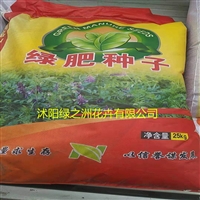 四川出售绿肥光叶苕子种子