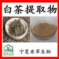 白茶提取物儿茶素 速溶白茶粉 萃取白茶浓缩粉 茶多酚98%