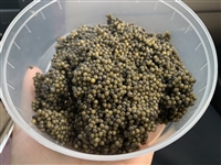 鱼子酱产地批发零售，酒店鱼子酱采购价格，鱼子酱200g套盒