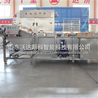 果蔬净菜加工设备 不锈钢果蔬气泡清洗机 气泡清洗机厂家供应