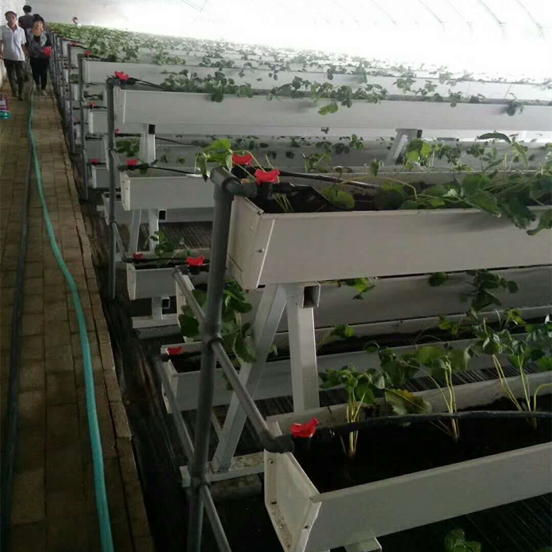 草莓种植槽大棚立体种植槽pvc无土栽培槽