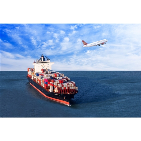 国际货代 到越南专线整柜 胡志明陆运整柜海运特价 海运代理