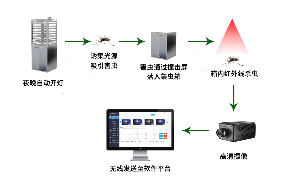 智能虫情监测系统 有效监测农田虫情状况
