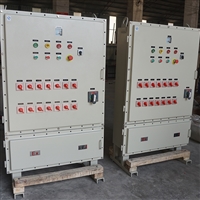 加工防爆控制箱 照明箱动力箱BXMD51防爆电源插座箱 立式防爆箱