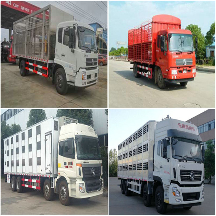 透风新规活鸡运输车厂东风多利卡d9雏禽运输车