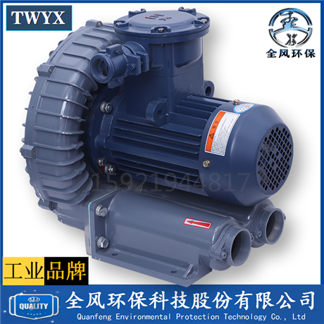 漩涡防爆风机 上海防爆高压鼓风机 防爆高压风机厂家 FB-10高压防爆鼓风机11kw