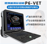 便携式动物彩超机 宠物便携式彩超 宠物超声诊断仪 宠物心脏彩超 