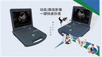 宠物b超机 宠物店超声 猫狗动物b超机价格 宠物超声设备