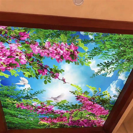 首页 加工 包装印刷加工 广告喷绘 精品电视墙壁画 定制打印壁布 打印