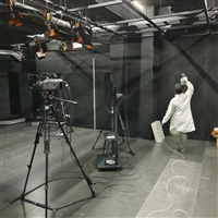 乐山灭白蚁公司技术好、乐山灭蚂蚁公司经营多年