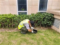 广汉灭白蚁公司价格、广汉灭蚂蚁服务热线