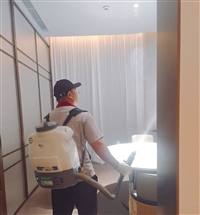 资中除白蚁公司价格，资中杀白蚂蚁公司白蚁药出售