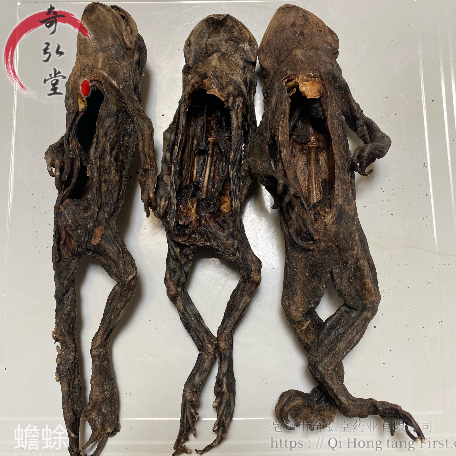 中药材蟾蜍癞蛤蟆的药用价值