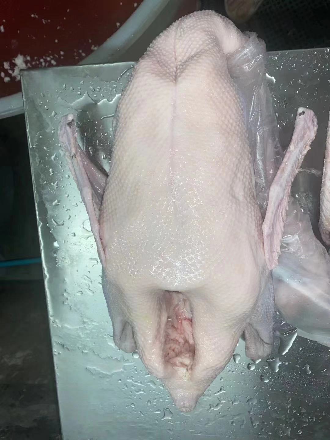 黑棕鹅批发-黑棕鹅批发价格/厂家/批发-佛山市优品鹅食品配送有限公司