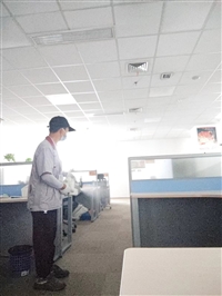 双流杀白蚁公司，双流除白蚁公司，双流灭蚂蚁公司