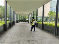 荣县杀白蚂蚁公司，荣县除白蚁巢穴价格