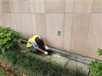 都江堰杀白蚁公司 都江堰除白蚁公司 仁民杀蚂蚁公司