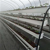 草莓立体种植槽 蔬菜栽培槽 草莓立体种植架