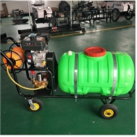  手扶式打药机 大棚高压打药机  果树苗木打药杀虫喷药机