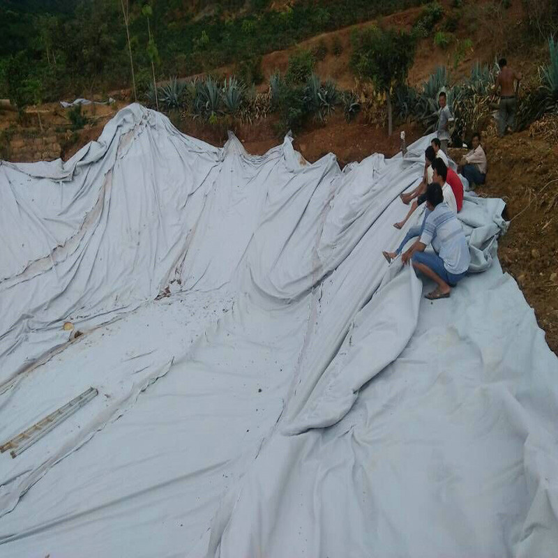 安徽900g非织造布复合土工膜胶水