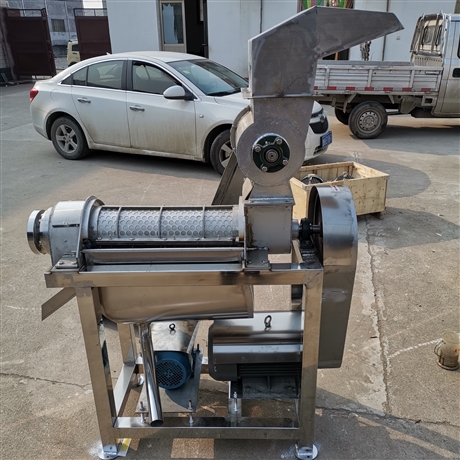 火龙果打汁机 螺旋不锈钢榨汁机 葡萄石榴籽打浆机