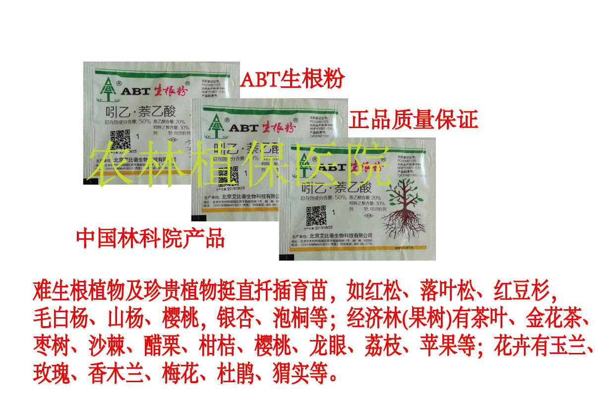 abt生根粉 1号(扦插生根专用)ggr双吉尔 移栽 扦插生根