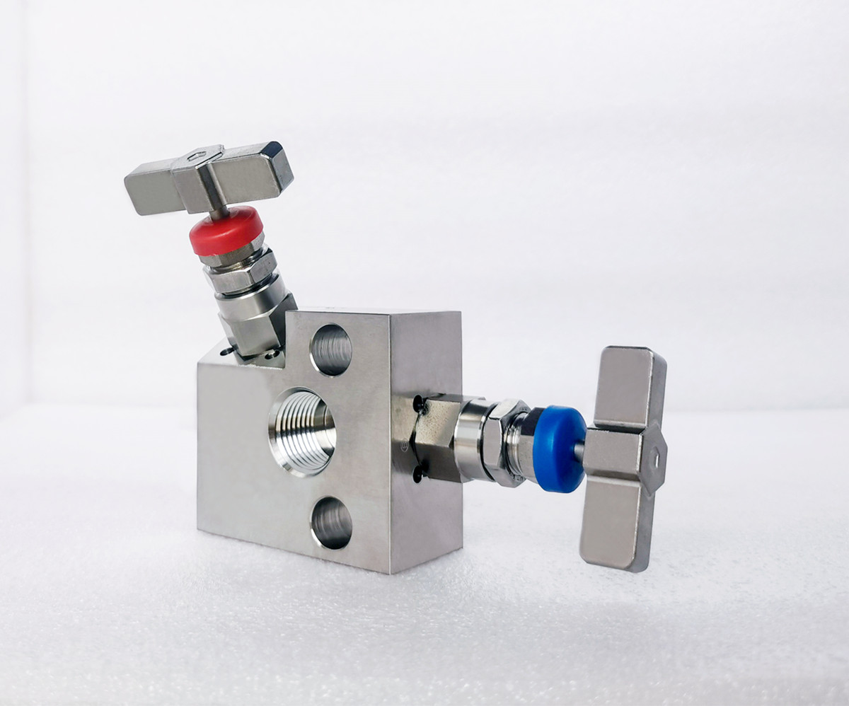 右高压扁平二阀组仪表阀阀组定制阀组厂家