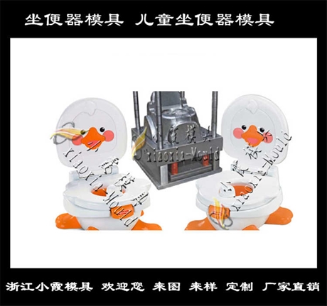 mold卡通坐便器 注塑蹲便器模具生產(chǎn)廠家