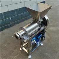 大型蔬菜打泥机 商用不锈钢榨汁机 多功能果蔬打碎机 