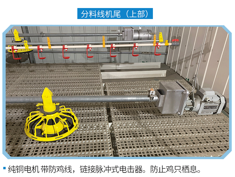 养鸡料线自动养鸡设备平养鸡养殖设备散养鸡喂料翰林农业