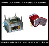 中国模具开发电冰器模具 注塑冷藏器模具工厂