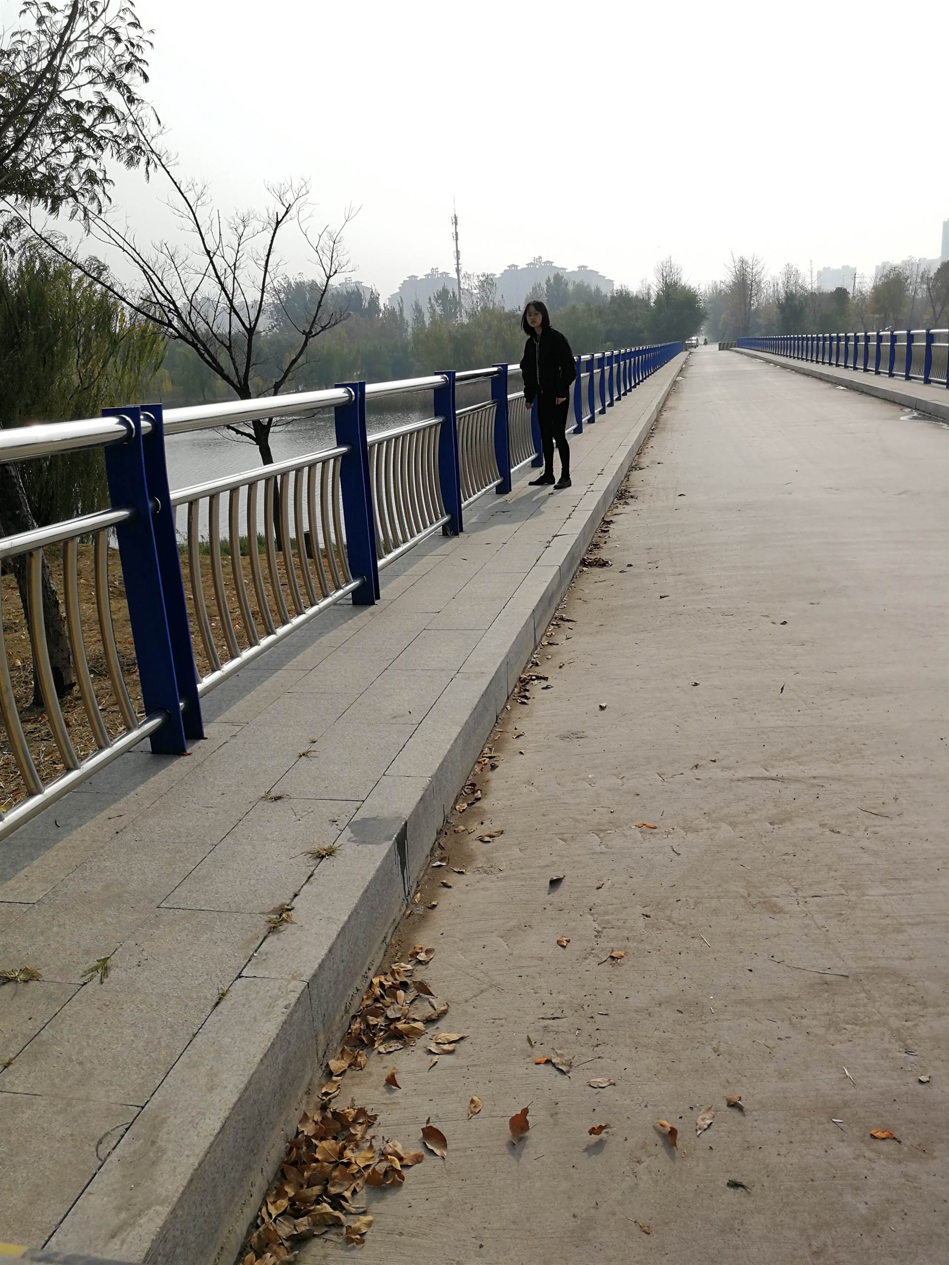 中卫不锈钢桥梁护栏生产商