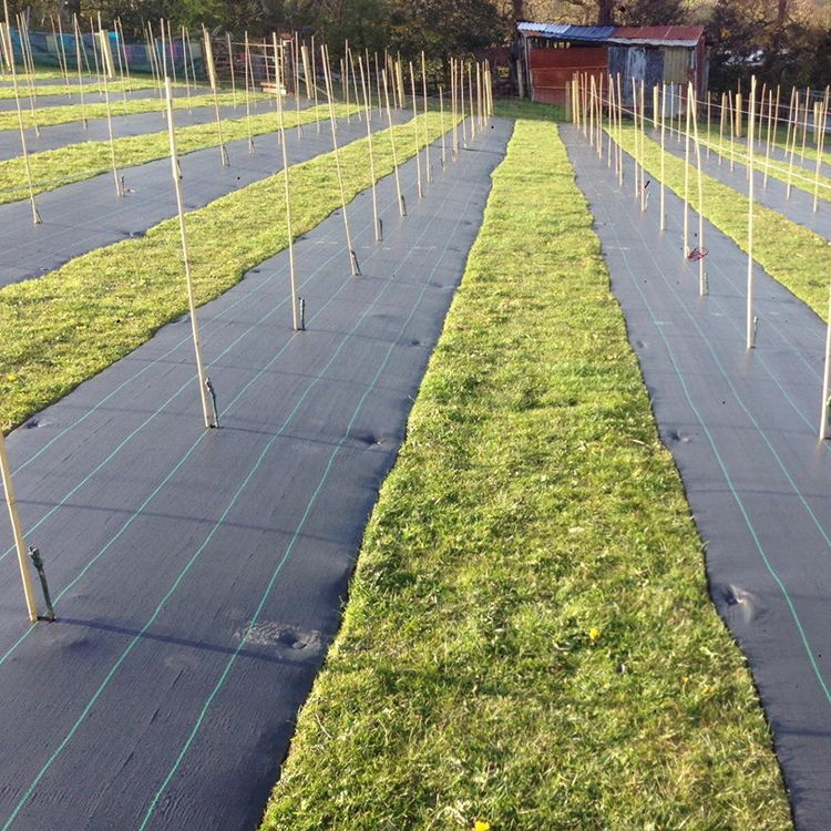 农用透气透水防草布批发葡萄园防草布中草药种植除草布抑草布